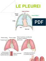 6-7. Curs Bolile Pleurei-2019