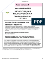 Solicitud de Pase Laboral - YNDIRA