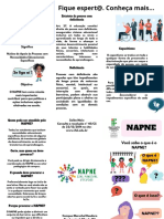Panfleto Napne PDF