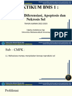 3. Praktikum BMS 1 - Proliferasi, diferensiasi, apoptosis dan nekrosis sel