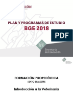 6SEM CFP Introducción A La Veterinaria 1