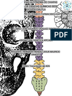 Transcripción Del ADN