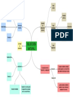 Mapa Conceptual Biologia