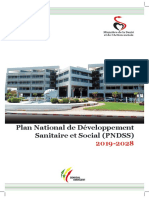 PNDSS 2019 2028.pdf