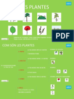 13 Power Point - Las Plantas 1