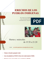 Derecho de Los Pueblos Indígenas