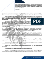 Das Questões e Processos Incidentes PDF