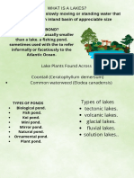 Añadir Un Subtítulo PDF