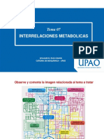 Sesión 07 - Interrelaciones Metabólicas