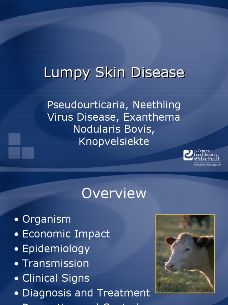Lumpy Skin Disease in Cattle Overview | PDF | Medical Specialties ...