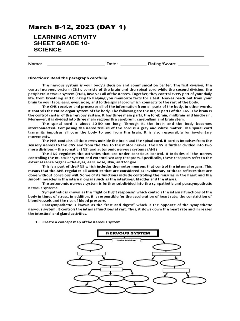 anatomy-and-functions-of-the-nervous-system-a-guide-for-10th-grade