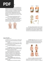 Download Scoliosis Handout by Le Chu SN6332151 doc pdf