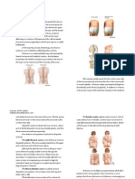Download Scoliosis Handout by Le Chu SN6332151 doc pdf