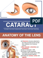 Cataract: Audi Adibah - Affan Syafiqi - Amanina Nasir - Nurul Hidayu - Nik Nor Liyana - Arina Zahari