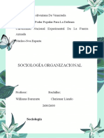 Sociologia de Las Org