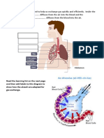 Gas Exchange and Blood