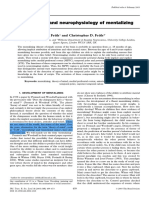 Development and neurophysiology of mentalizing