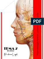 TEMA 2. Sección 2. TRAUMATOLOGIA FORENSE. Lesiones en Particular PDF