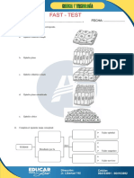 Fast Test 02 Tejidos 2°sec