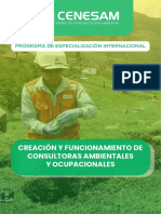 Consultorias Ambientales y Ocupacionales PDF