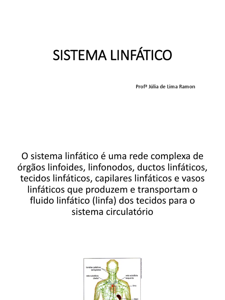 Sistema Linfático Pdf Sistema Linfático Linfa