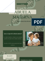 Gen de La Abuela YArbol Genealogico