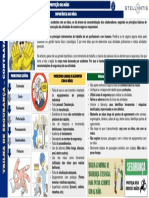 Proteção Das Mãos PDF