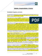 Lectura 4 - Nulidades, Irregularidades y Control PDF