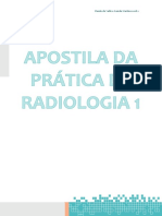 Apostila Prática de Rádio