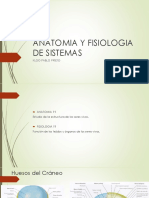 1 Anatomia y Fisiologia de Sistemas PDF