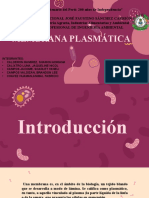 Membrana Plasmatica