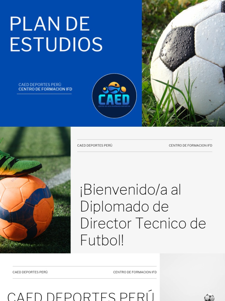 Diplomado en Director Técnico de Fútbol | PDF | Perú