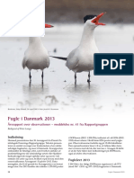 Fugle - I - Danmark 2013