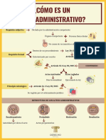 Como Es Una Acto Administrativo PDF