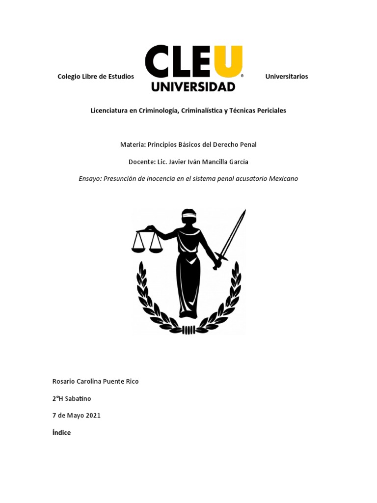 ensayo-derecho-penal-pdf-derecho-penal-evidencia-ley