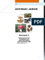PPM 2012 Klasifikasi Jamur