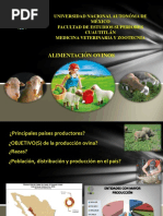 Alimentacion Animal Ovinos 2020 1