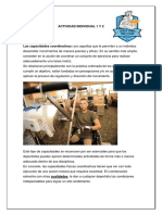Capacidades Coordinativas ACT INDIVIDUAL PDF