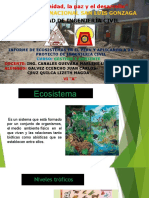 Ecosistemas en el Perú y su aplicación en proyectos de ingeniería civil