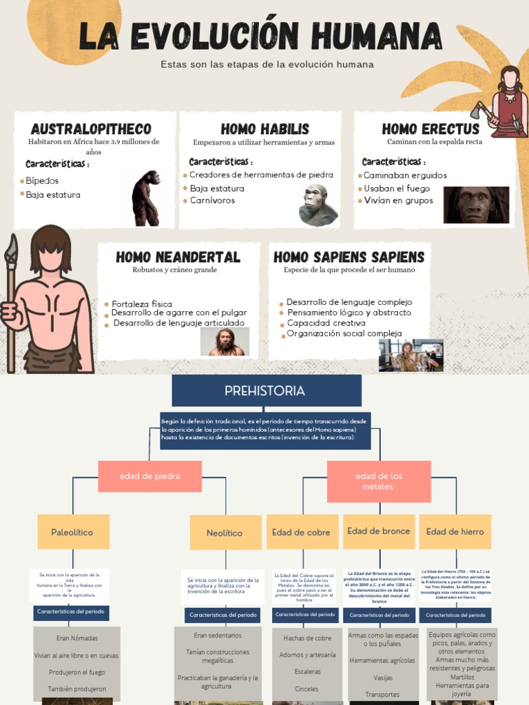 La Evolución Humana | PDF | Homo | Evolución humana