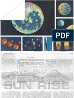 La Luna y Sus Fases PDF