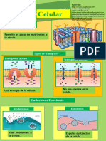 Infografia de Biologia