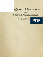 Pigeon Diseases - With A Chapter On Feeding (IA Pigeondiseaseswi00diet) PDF
