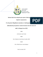 Tesis Done Dic PDF