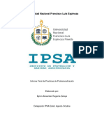 Byron Informe IPSA