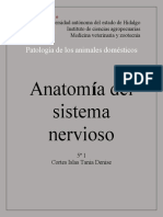 Anatomía Nervioso Veterinaria