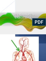 Presentación1 Anatomia
