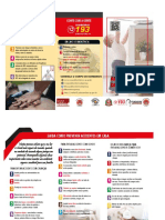 Acidentes Domesticos PDF
