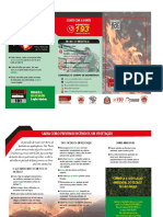 Incendios em Vegetacao PDF
