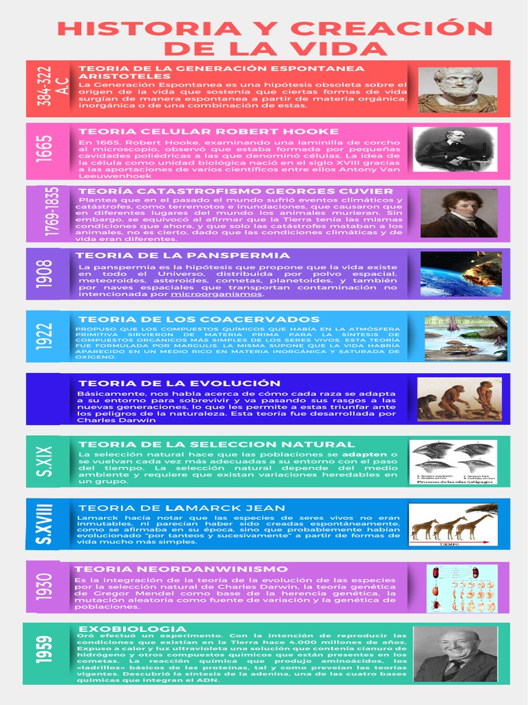 Línea del tiempo sobre el origen de la vida | PDF | Evolución ...
